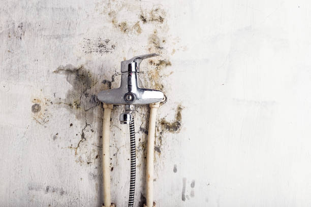 Best Mold Testing and Inspection Services in Irvington, NY