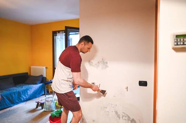 Best Mold Testing and Inspection Services in Irvington, NY