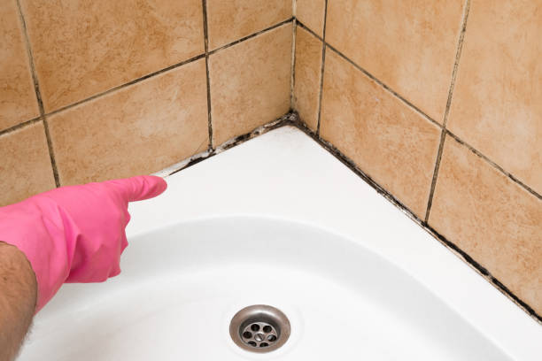 Best Bathroom Mold Remediation in Irvington, NY